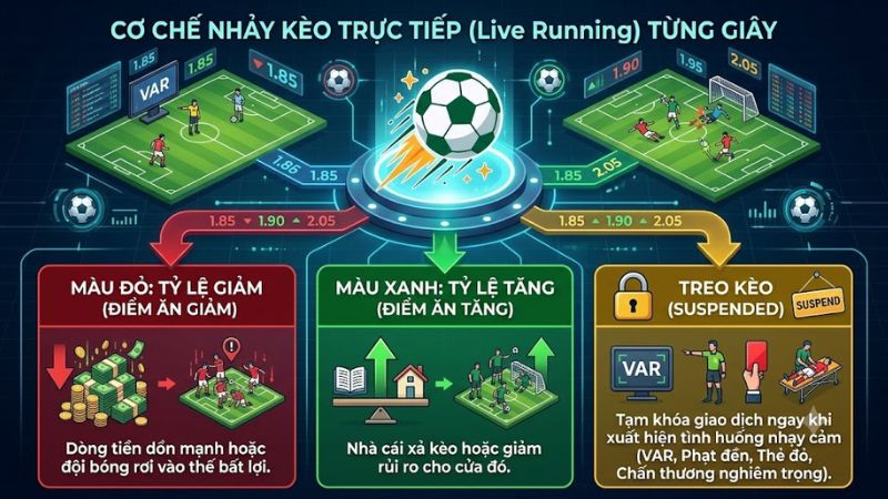 Bảng nhảy kèo rung trực tiếp theo thời gian thực trên 7m Bảng nhảy kèo rung trực tiếp theo thời gian thực trên 7m